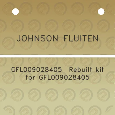 johnson-fluiten-gfl009028405-rebuilt-kit-for-gfl009028405