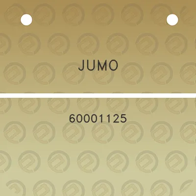 jumo-60001125