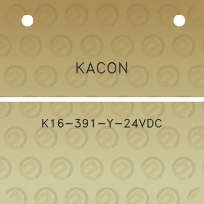 kacon-k16-391-y-24vdc