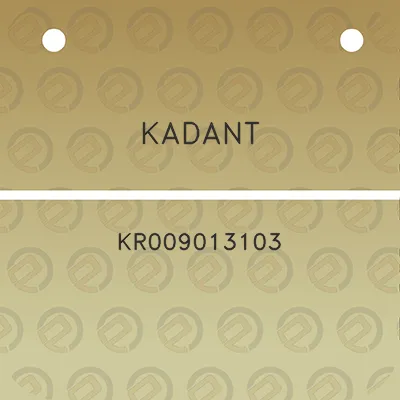 kadant-kr009013103