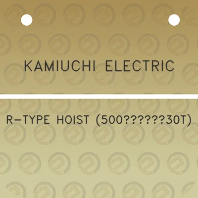 kamiuchi-electric-r-type-hoist-500kg30t