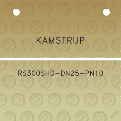 kamstrup-rs300shd-dn25-pn10