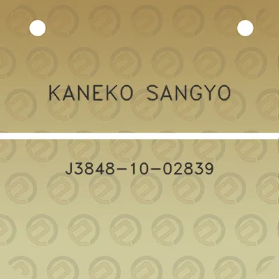 kaneko-sangyo-j3848-10-02839