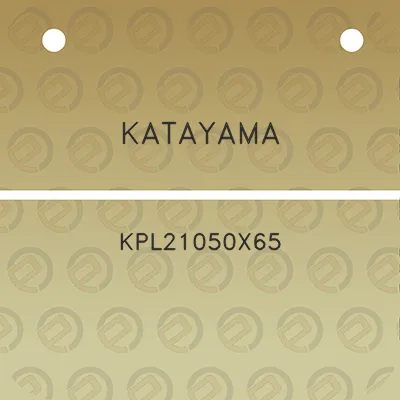 katayama-kpl21050x65