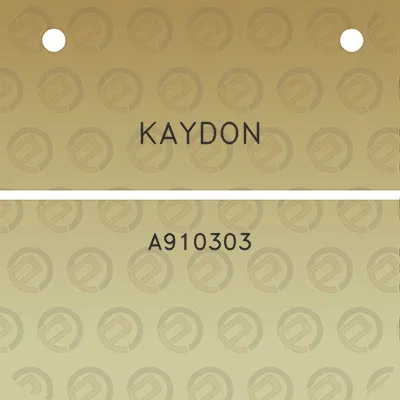 kaydon-a910303