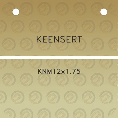 keensert-knm12x175