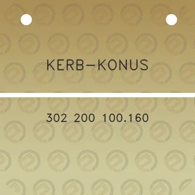 kerb-konus-302-200-100160