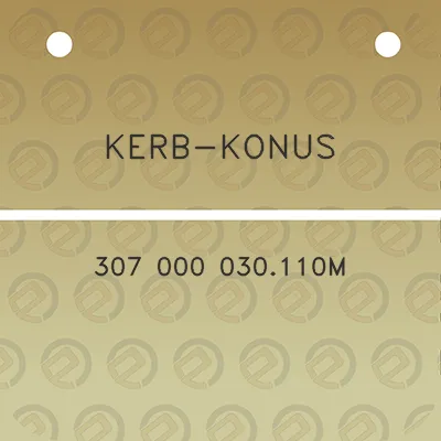 kerb-konus-307-000-030110m