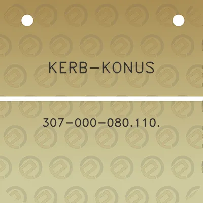 kerb-konus-307-000-080-110