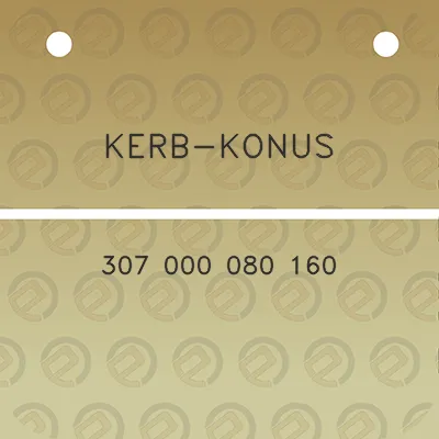 kerb-konus-307-000-080-160