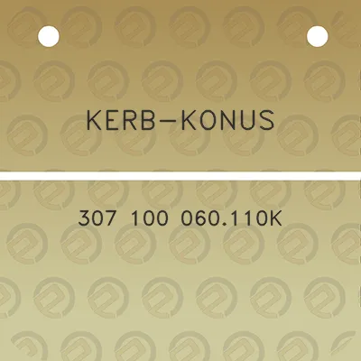 kerb-konus-307-100-060110k