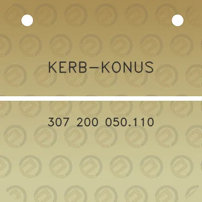 kerb-konus-307-200-050110