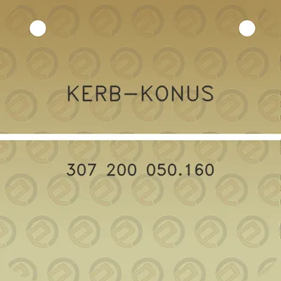 kerb-konus-307-200-050160