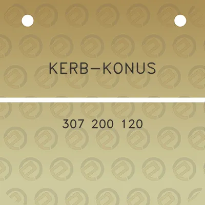 kerb-konus-307-200-120