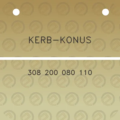 kerb-konus-308-200-080-110