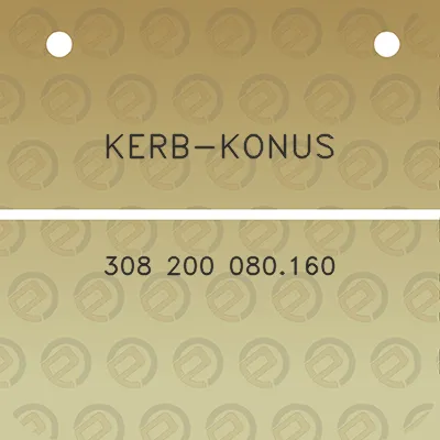 kerb-konus-308-200-080160