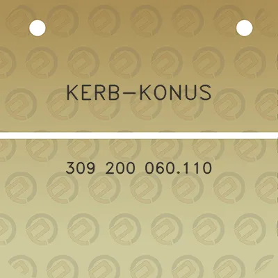 kerb-konus-309-200-060110