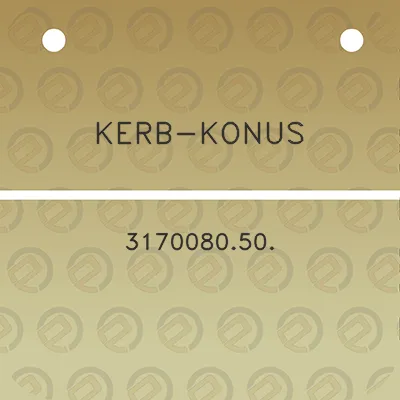 kerb-konus-317008050