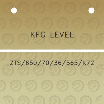 kfg-level-zts6507036565k72