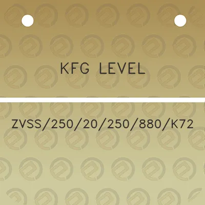 kfg-level-zvss25020250880k72