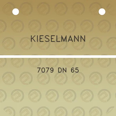 kieselmann-7079-dn-65