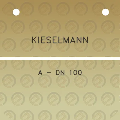 kieselmann-a-dn-100