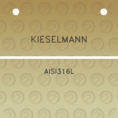 kieselmann-aisi316l