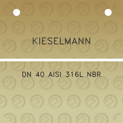 kieselmann-dn-40-aisi-316l-nbr