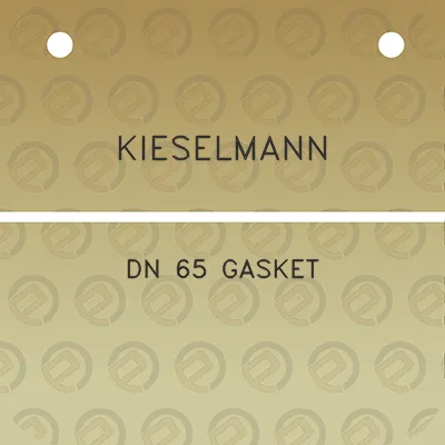 kieselmann-dn-65-gasket