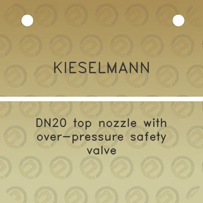 kieselmann-dn20-top-nozzle-with-over-pressure-safety-valve