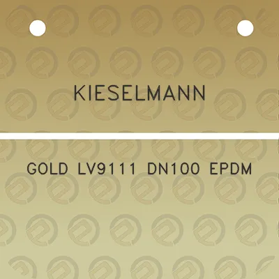 kieselmann-gold-lv9111-dn100-epdm