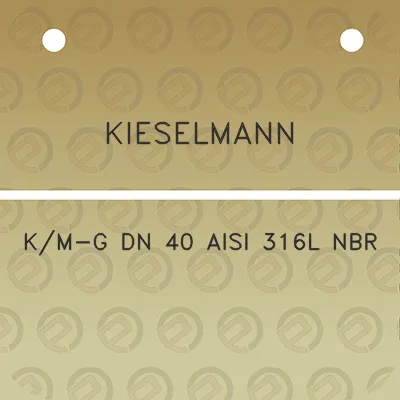 kieselmann-km-g-dn-40-aisi-316l-nbr