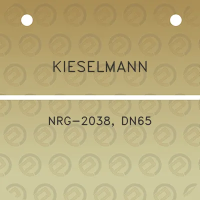 kieselmann-nrg-2038-dn65