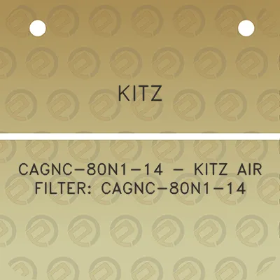 kitz-cagnc-80n1-14-kitz-air-filter-cagnc-80n1-14