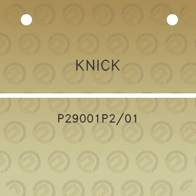 knick-p29001p201