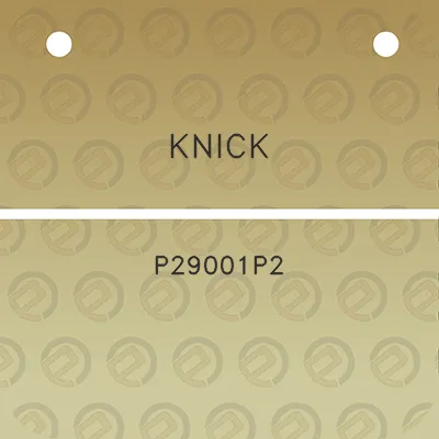 knick-p29001p2