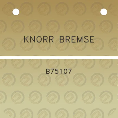 knorr-bremse-b75107