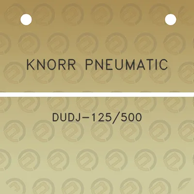 knorr-pneumatic-dudj-125500