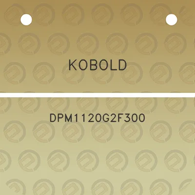 kobold-dpm1120g2f300