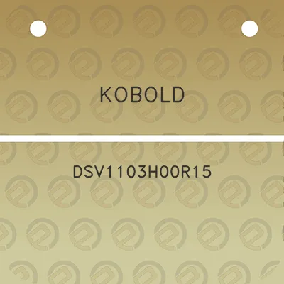 kobold-dsv1103h00r15