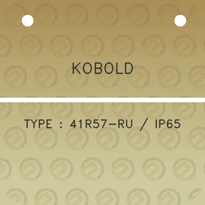 kobold-type-41r57-ru-ip65