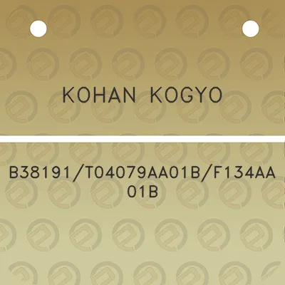 kohan-kogyo-b38191t04079aa01bf134aa01b