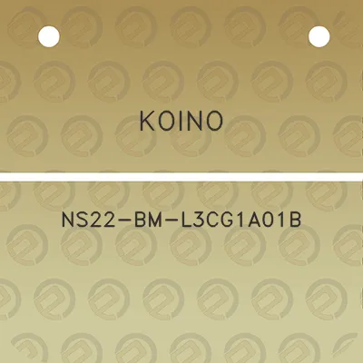 koino-ns22-bm-l3cg1a01b