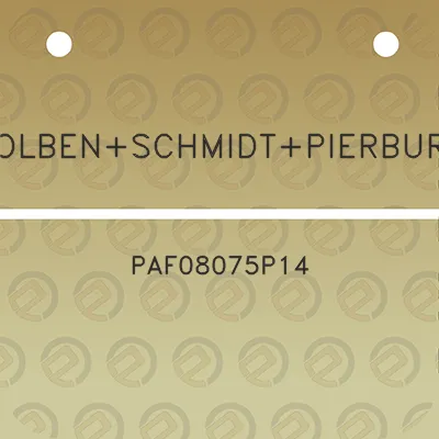 kolbenschmidtpierburg-paf08075p14