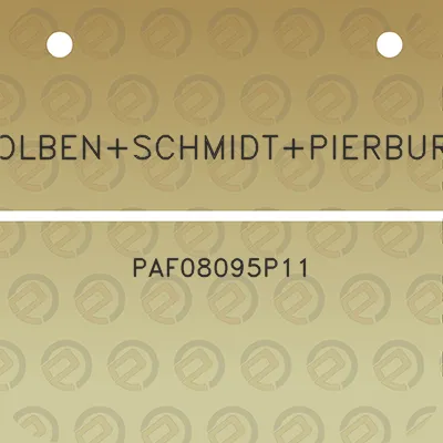 kolbenschmidtpierburg-paf08095p11