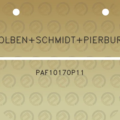 kolbenschmidtpierburg-paf10170p11