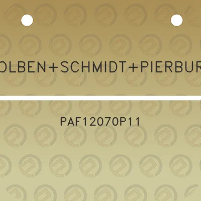 kolbenschmidtpierburg-paf12070p11