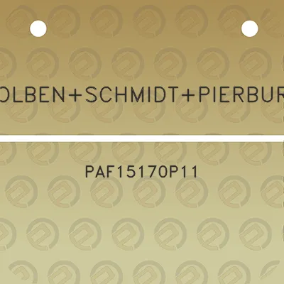 kolbenschmidtpierburg-paf15170p11