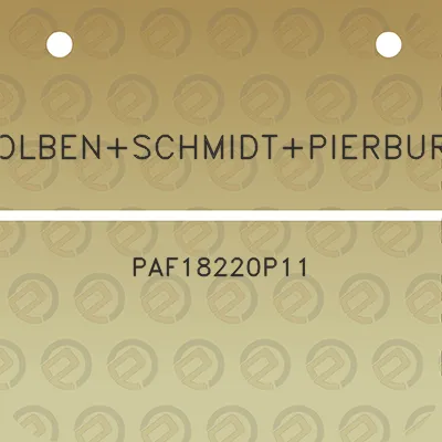 kolbenschmidtpierburg-paf18220p11