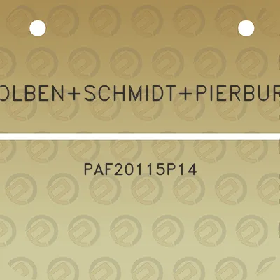 kolbenschmidtpierburg-paf20115p14